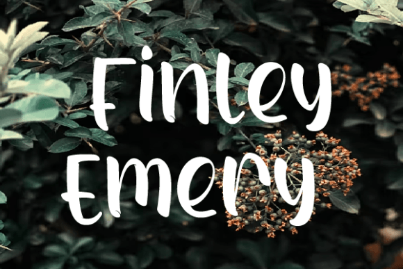 Finley Emery: A Script Font That Gives Your Campaigns Clearer Message Strength