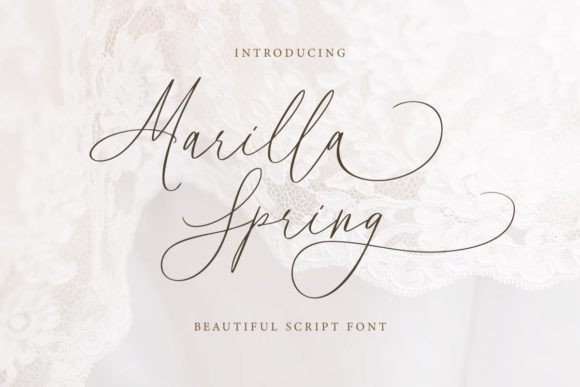 Marilla Spring: A Script Font That Brings Campaign Messaging to Life