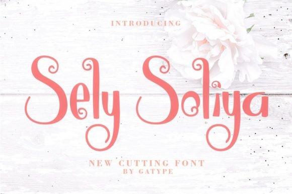 Sely Soliya: A Modern Script Font That Elevates Small Business Branding