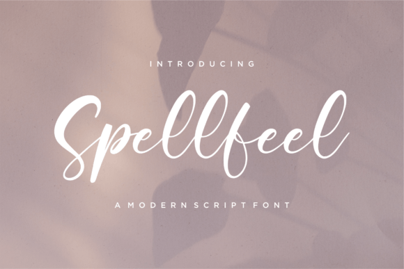 Spellfeel: A Modern Script Font Built for Campaigns